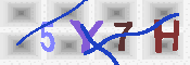 キャプチャ画像