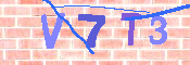 キャプチャ画像