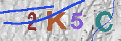 キャプチャ画像