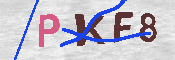 キャプチャ画像