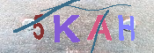 キャプチャ画像