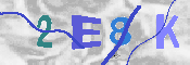 キャプチャ画像