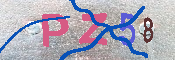 キャプチャ画像