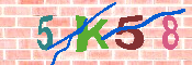 キャプチャ画像