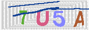 キャプチャ画像