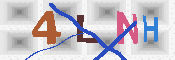 キャプチャ画像