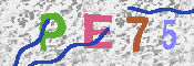 キャプチャ画像
