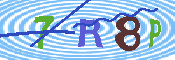 キャプチャ画像
