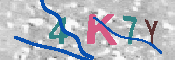 キャプチャ画像
