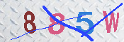 キャプチャ画像