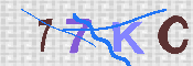 キャプチャ画像