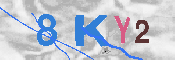 キャプチャ画像