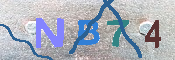 キャプチャ画像
