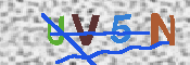 キャプチャ画像