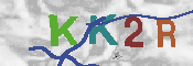 キャプチャ画像