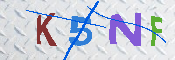 キャプチャ画像