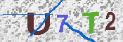 キャプチャ画像