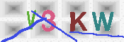キャプチャ画像