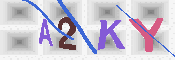 キャプチャ画像
