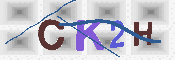 キャプチャ画像