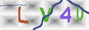 キャプチャ画像