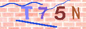 キャプチャ画像