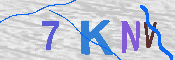 キャプチャ画像