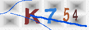 キャプチャ画像