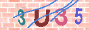 キャプチャ画像