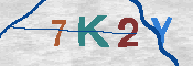 キャプチャ画像