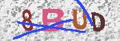 キャプチャ画像