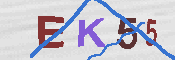 キャプチャ画像
