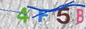 キャプチャ画像