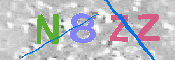 キャプチャ画像