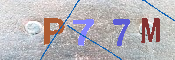 キャプチャ画像