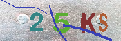 キャプチャ画像