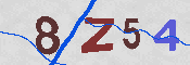 キャプチャ画像