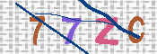 キャプチャ画像