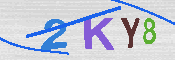 キャプチャ画像