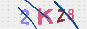キャプチャ画像
