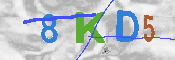 キャプチャ画像