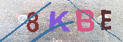 キャプチャ画像