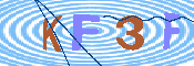 キャプチャ画像