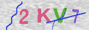 キャプチャ画像