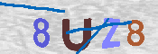 キャプチャ画像