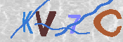 キャプチャ画像