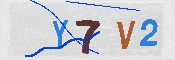 キャプチャ画像