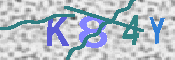 キャプチャ画像