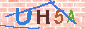 キャプチャ画像