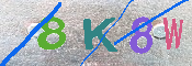 キャプチャ画像